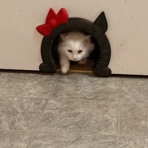 Meet your Posher, Marie